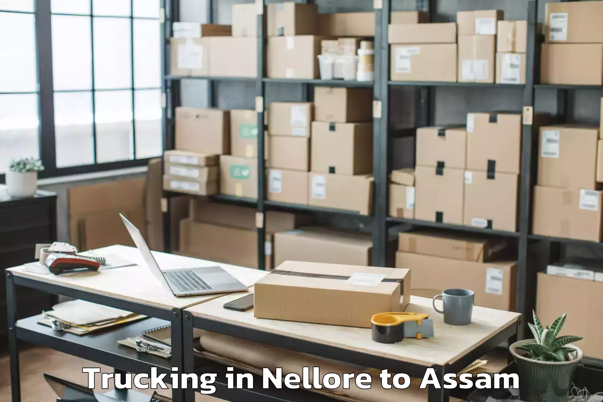 Leading Nellore to Guwahati University Trucking Provider